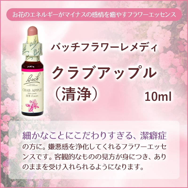 フラワーエッセンス売れ筋ランキング【2023年上半期