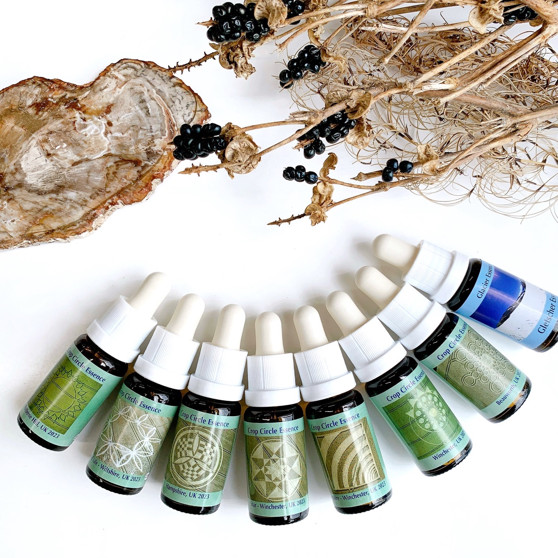 新発売☆コルテPHIのクロップサークルエッセンス＃237～＃243  