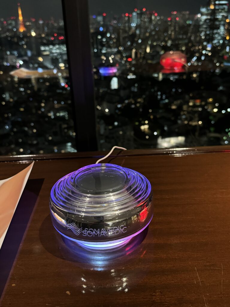 ソマヴェディック