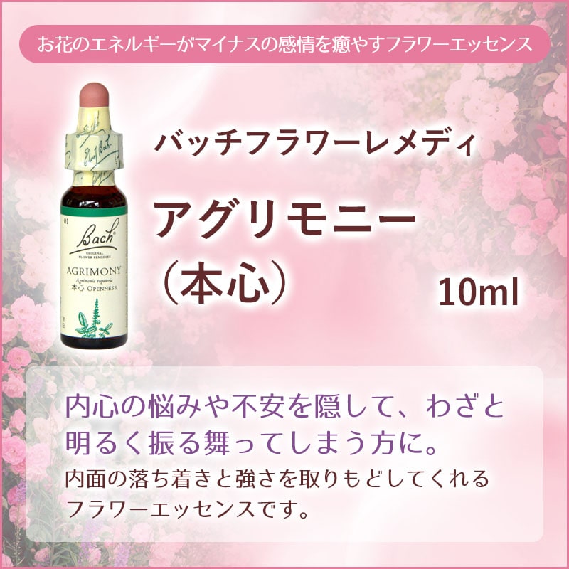 バッチフラワーレメディ一覧 38種の指標とレメディの選び方 - フラワー