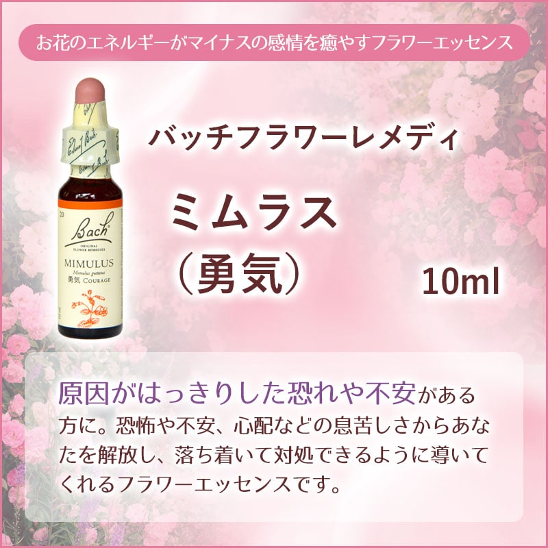 バッチフラワーレメディ一覧 38種の指標とレメディの選び方 - フラワー