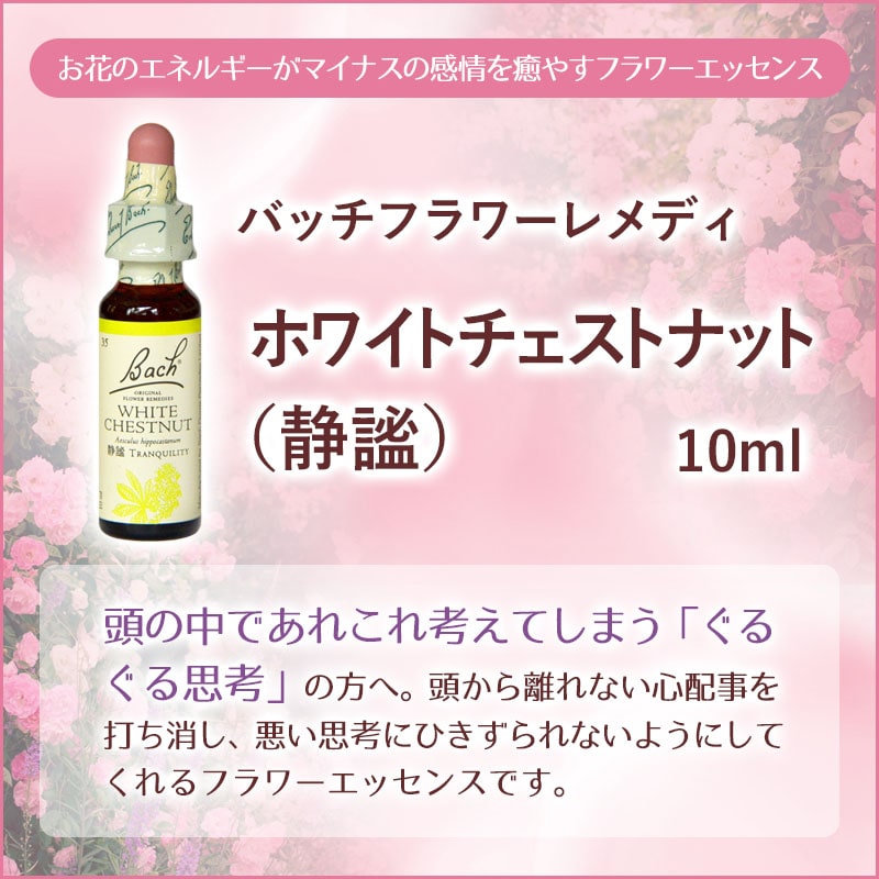 バッチフラワーレメディ一覧 38種の指標とレメディの選び方 - フラワー